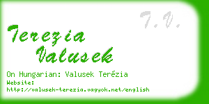 terezia valusek business card
